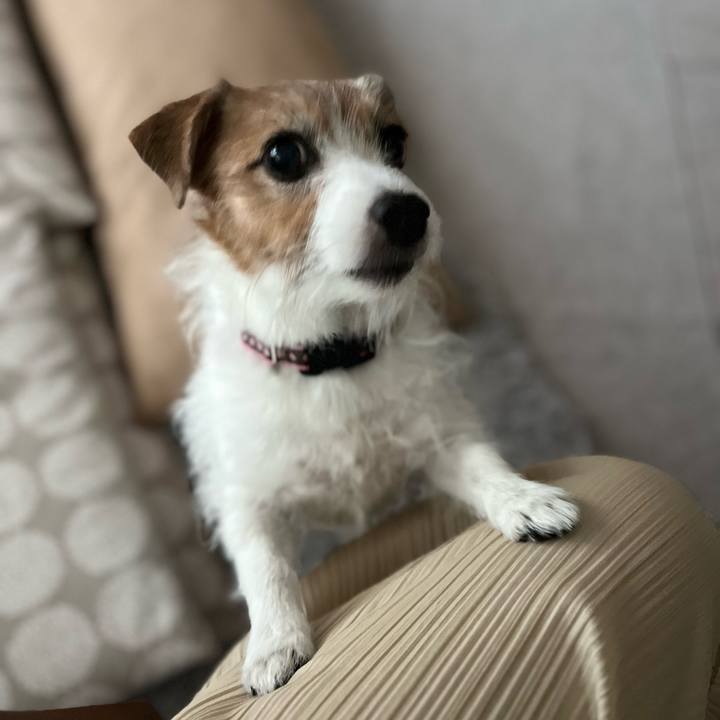 A3507373 5c4d 4c65 ba74 8f9b39169a95 1699694904633