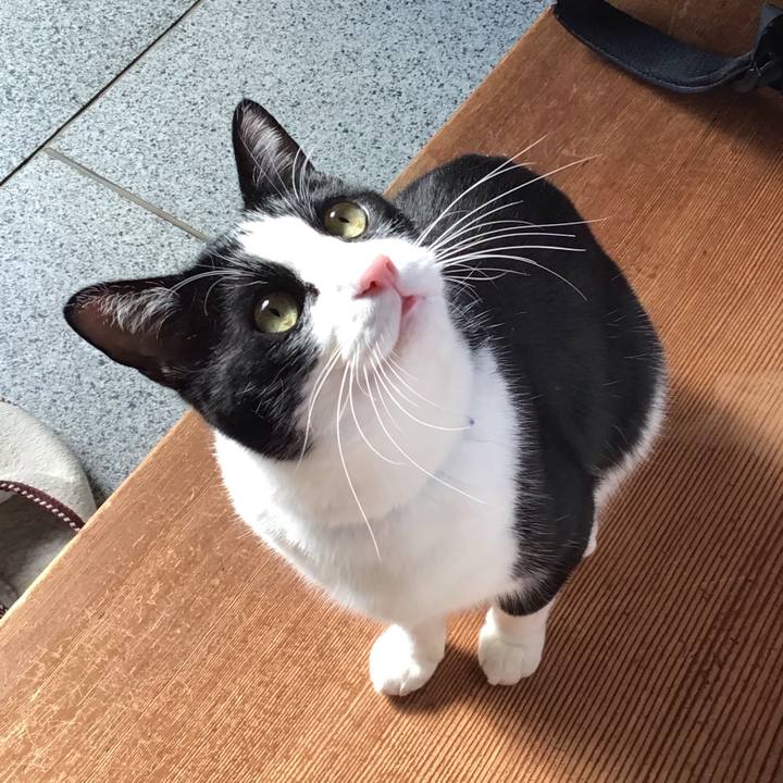 A3508108 2ebb 407b bf03 82205e6bf693 1706606366340