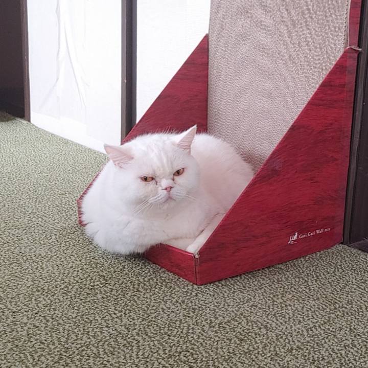 A35094d3 05c6 44fc afc9 98f401328435 1662763452284