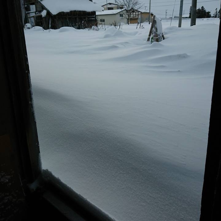 A350b4c1 051d 4ec1 a879 917c36108fbd 1608418644647