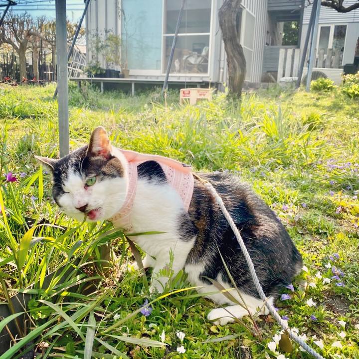 A350e53f 94eb 4101 87c2 fbcdd5849a7b 1591270076499