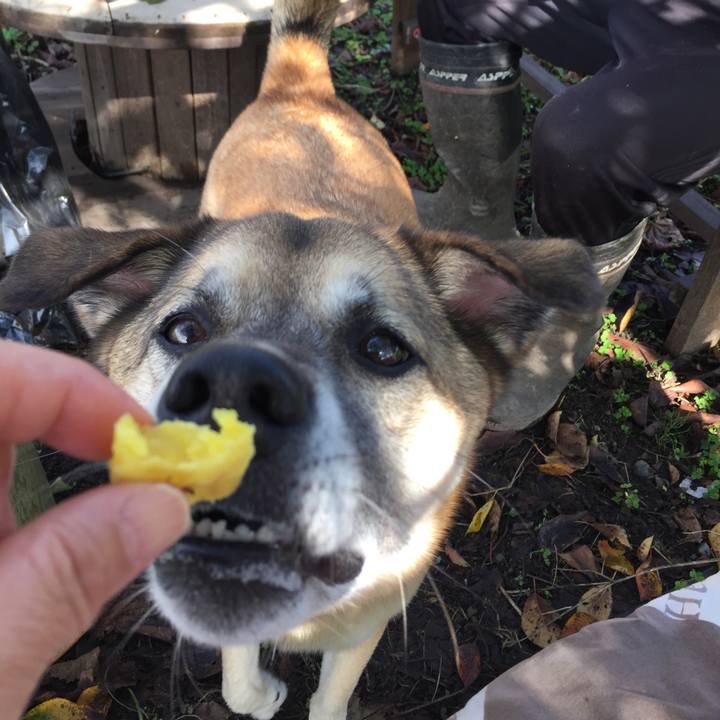 A350ec10 c6bb 470c 9814 d6bd4b416454 1508292742884