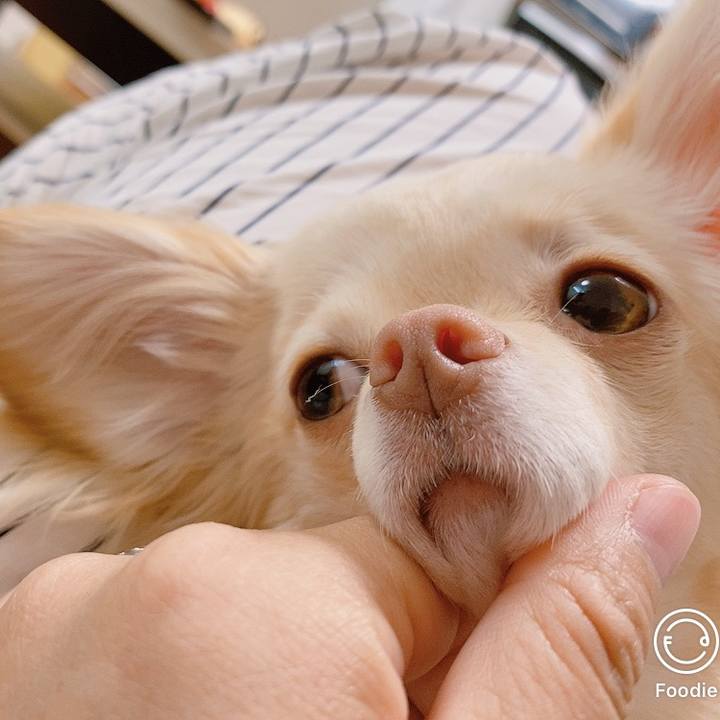 A35101f5 8c6a 485c 9dce c883e56ae0fd 1619657483925