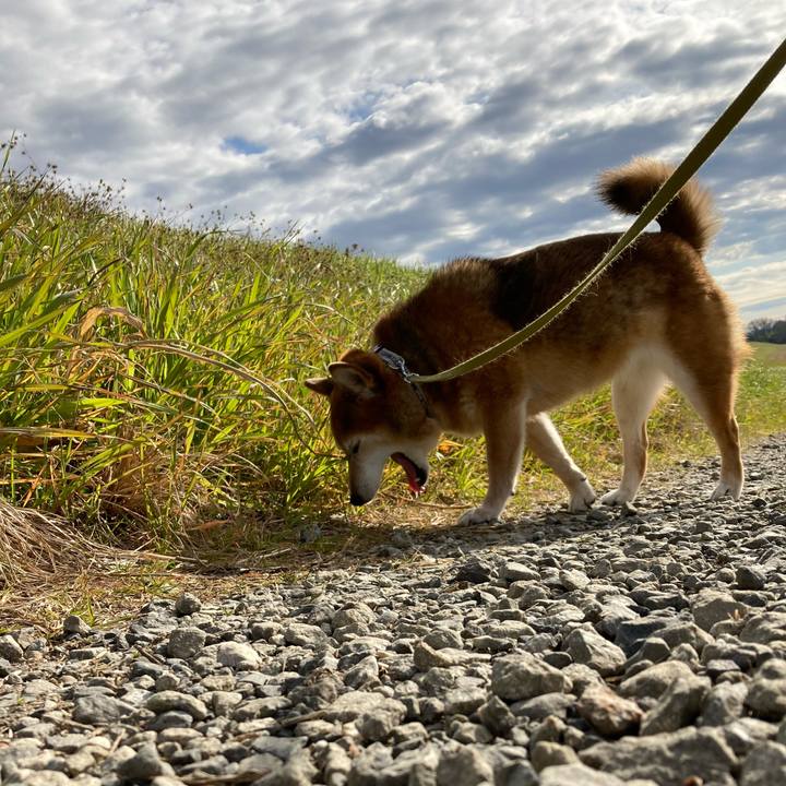 A35116d5 d64c 409d b9f6 dab66a649edb 1672383555439