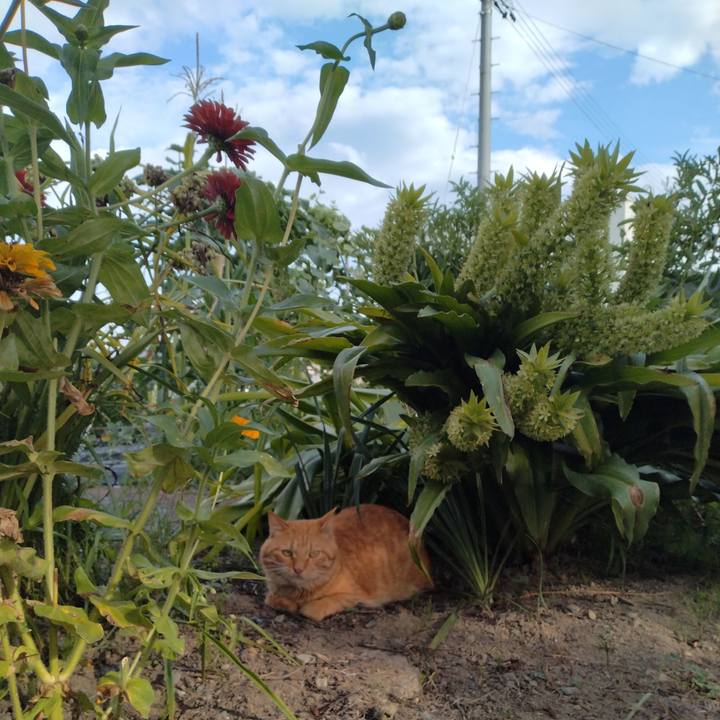 A351414b 18bd 462f 8bd7 bc01681dd576 1692088979953