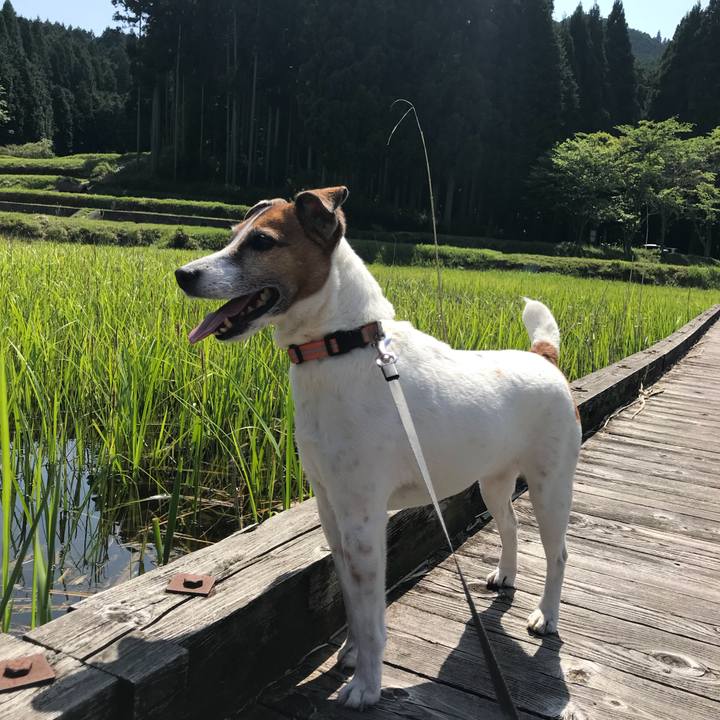 A3514c7c 1cb0 463d a920 15577bfaebc4 1525514057012