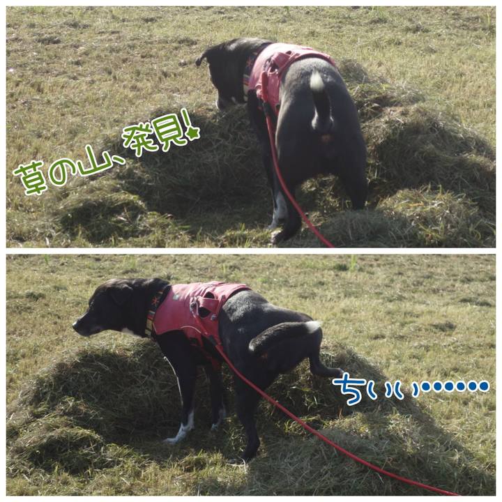 A35153da d3cb 485f 9c85 44f8b47b6bdf 1697675409270