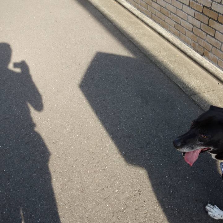 A3516044 0cbf 42b1 b88b 91a767644c84 1722385853679