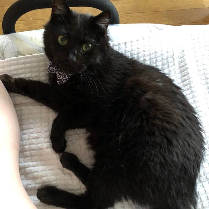 A3516df7 a847 43e7 a085 89655318a50d 1585559392526