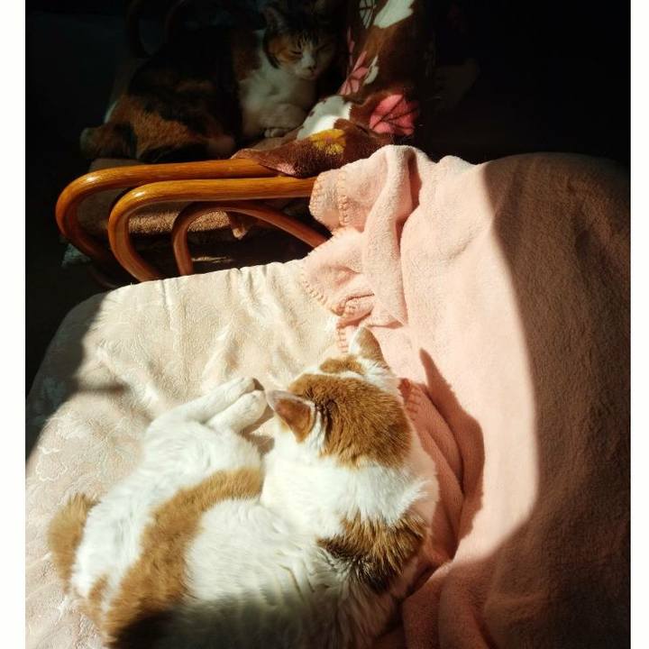 A351ba59 e673 4306 8780 7b7022ce438a 1552189753547