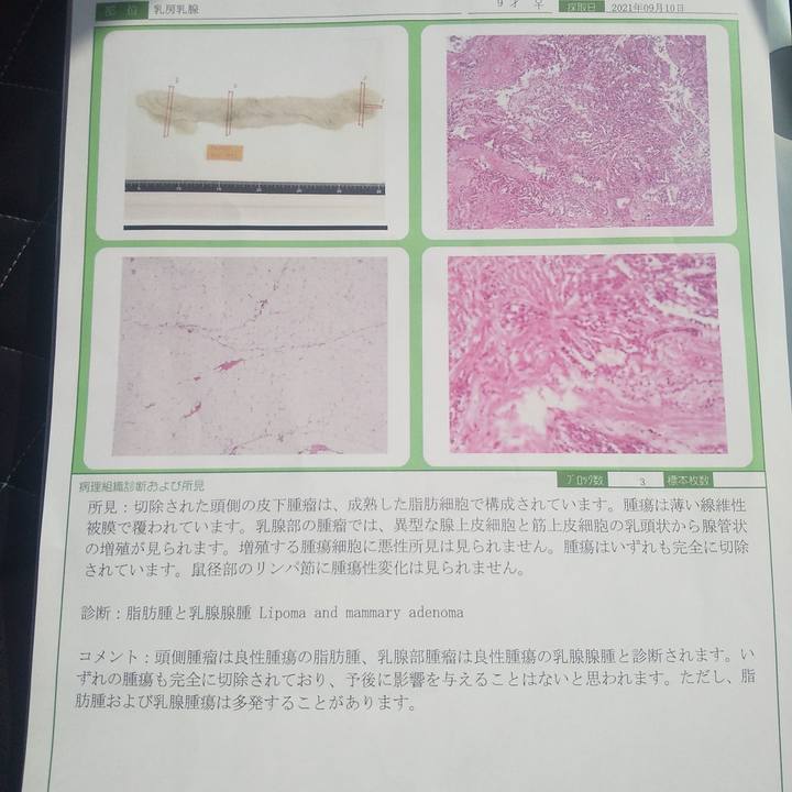 A351e2c1 f723 42e8 98f4 1e7d2a1f738c 1632616047826