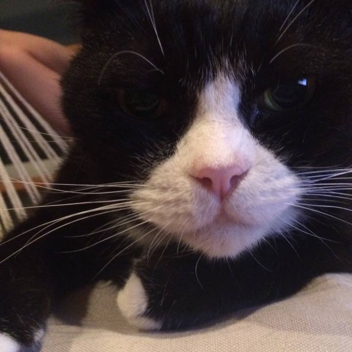 A351f27e 4504 491d 9404 11bf963f1087 1534079723073