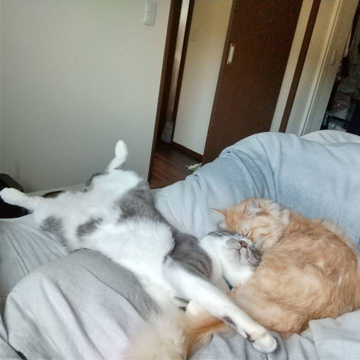 A351febf 2c06 43c1 95a8 31a1e2c1cd2c 1636849189867