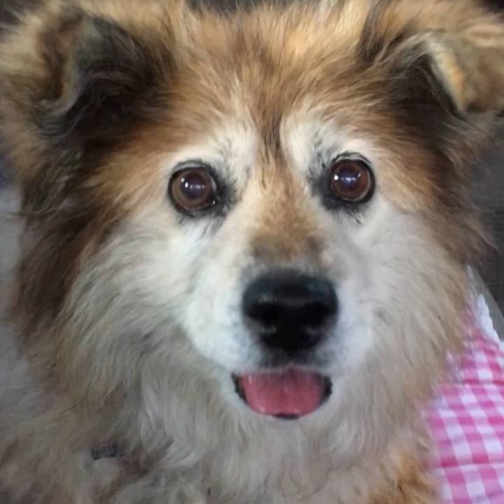 A35235b6 df05 4dc8 9d7c 1c09d072d781 1550276181745