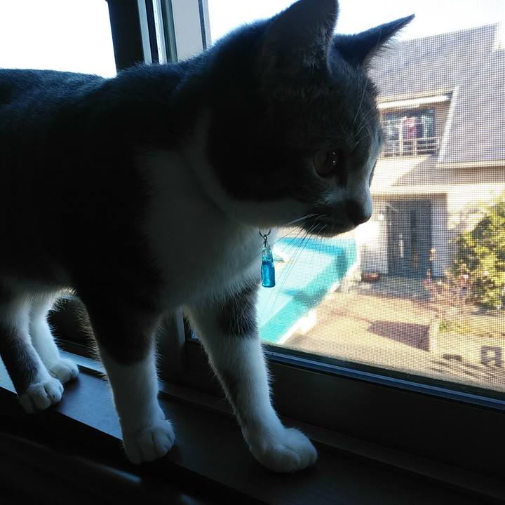 A3523d2a 4ca0 4d93 8386 47c049f11d06 1582067585009