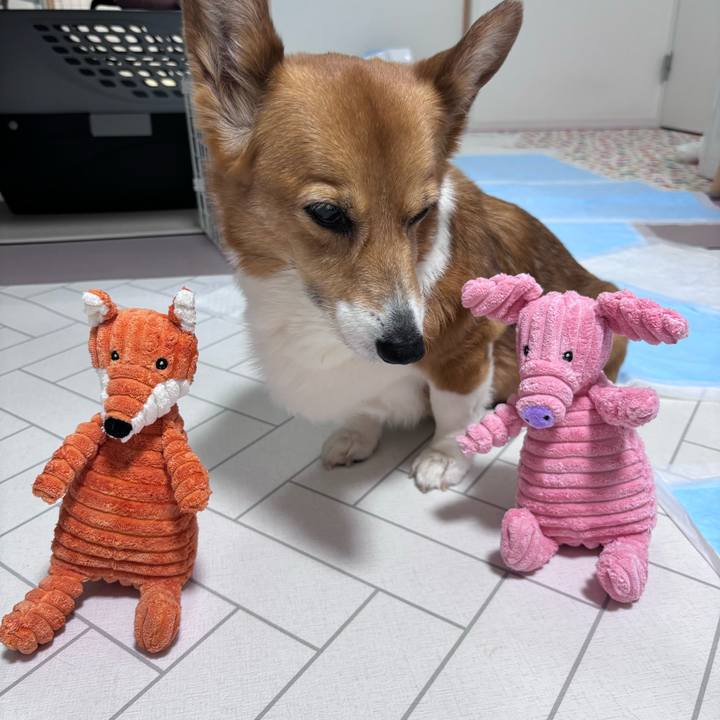 A3524874 772d 4f65 8e76 6c6126807cd5 1752671109002