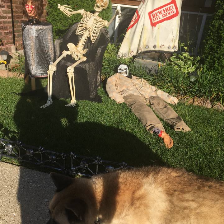 A35249eb 11bb 4631 9045 8443b332a59f 1571092576080