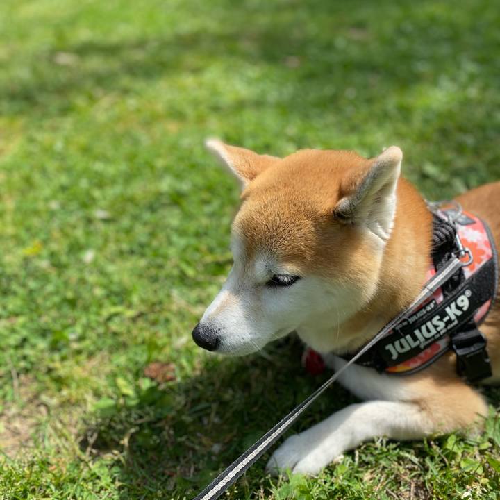 A3524f63 692c 4c24 b214 34571327e6f9 1624068691885