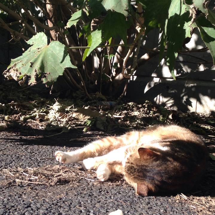 A3527cfe e18f 4668 b02a a81f05010502 1511256433410