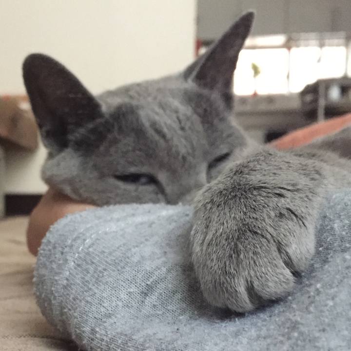 A352c60e f1bf 4c97 b329 8beeb6070bfd 1576108729048