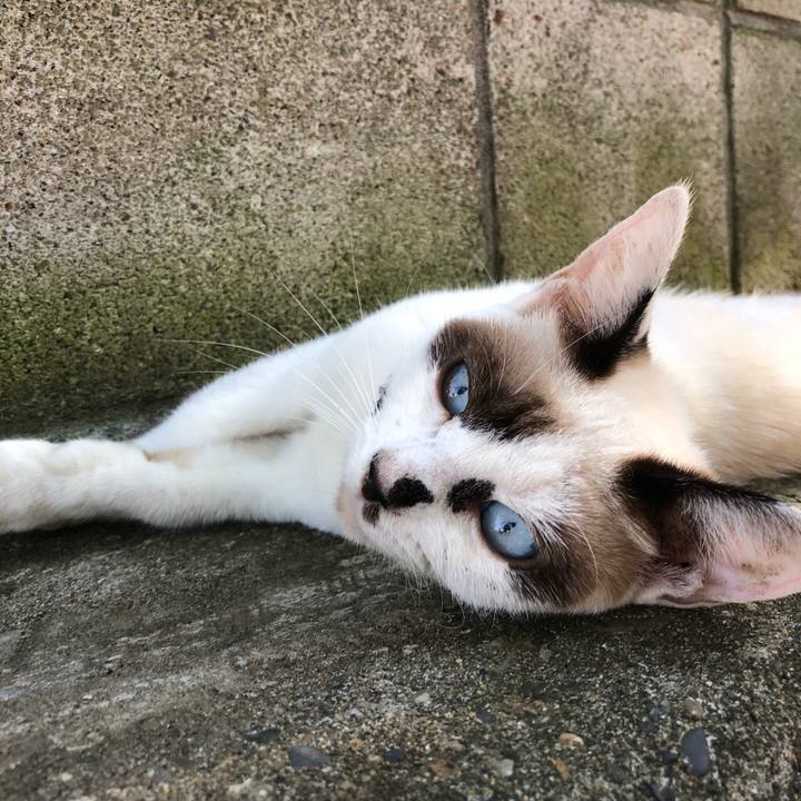 A352d7e9 baa9 4e4d a15a 3084ee37717a 1599978160238