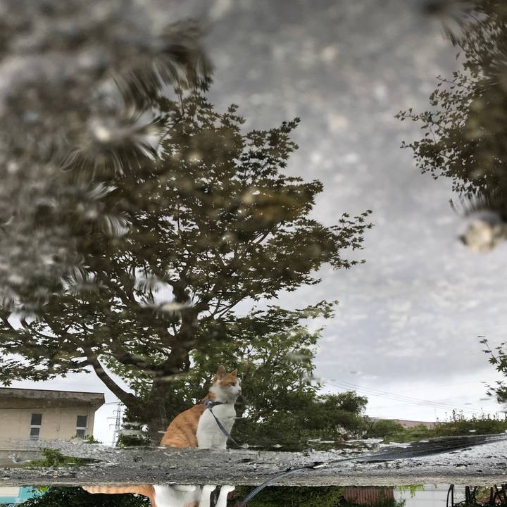 A352dbb4 e84b 4b7b 94d5 3c9af25d399f 1531059672618