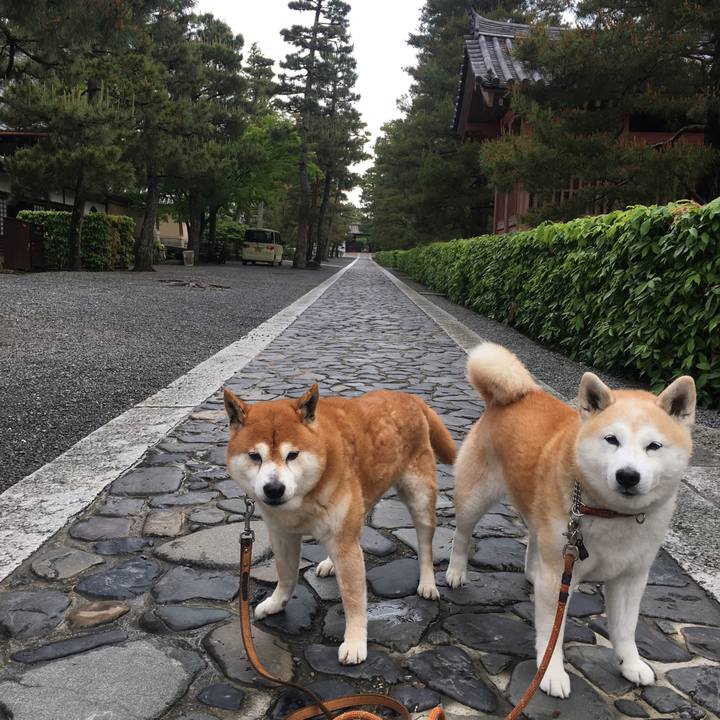 A352dbfb d22c 4114 8d93 c9ce46168a99 1525301273241