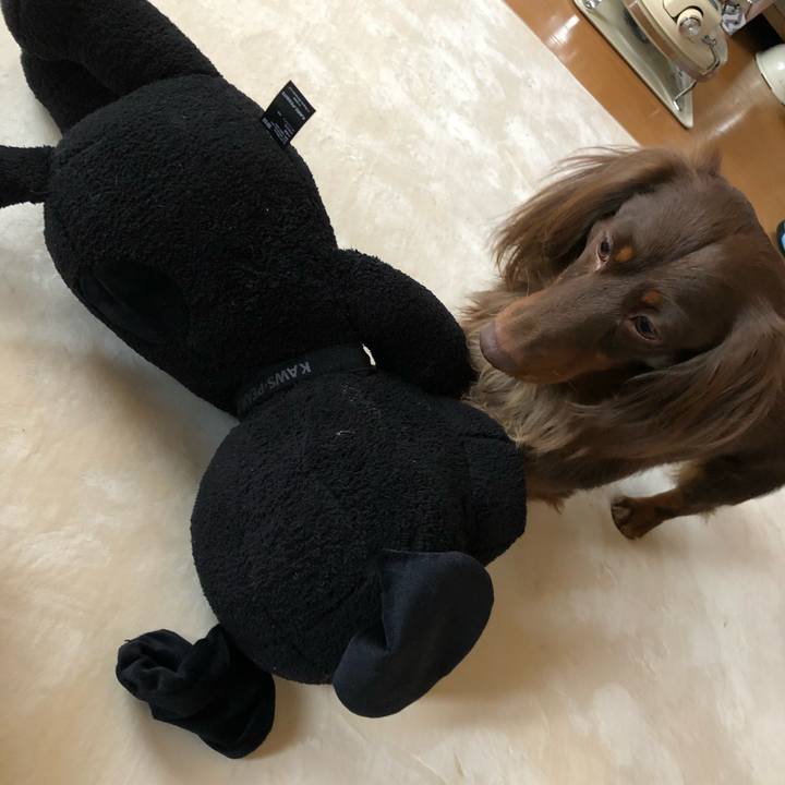 A352f3fc 881d 48ee 96a2 a0cf4f05f39d 1511402134190