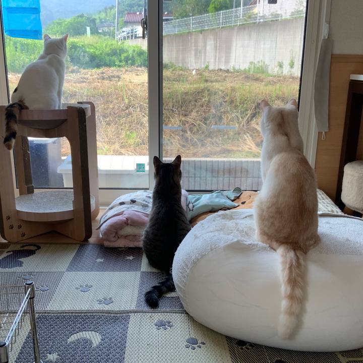 A35302b8 d97d 4c4f 827c 229451d05fb5 1751505202105