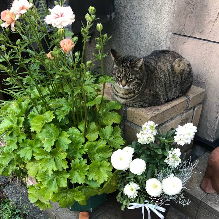 A3531bfd 25b1 4d79 8c8c d0ea807cc27a 1584692911594