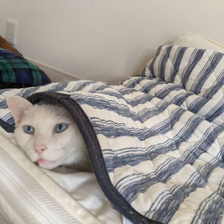 A3532ee9 448c 422b ad12 c3dbb328e5f1 1593577092978