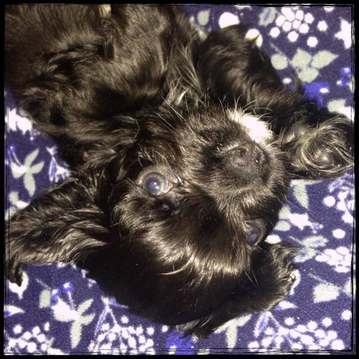 A3534213 d9f4 42e4 8290 734dbff73e64 1523765911299