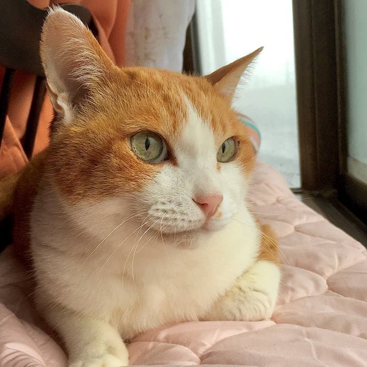 A35347e0 9d5f 4fcd 9411 199ad5fa61ed 1582605004138