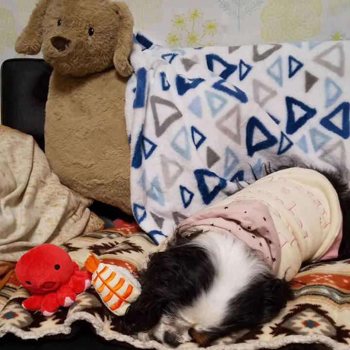 A3534abf 8cbe 491e 90f4 1c2ec23ae6cb 1583055782789