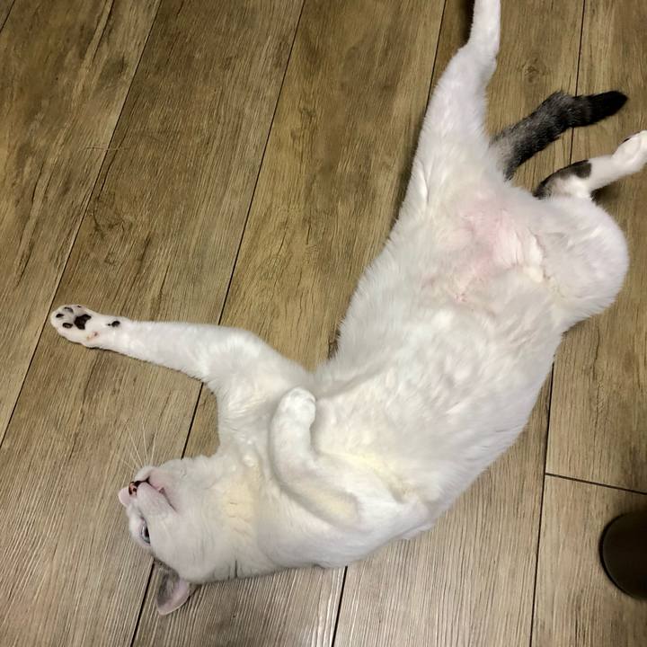 A353615e 3d8c 404a 969b 6d1479d0256c 1628598235756