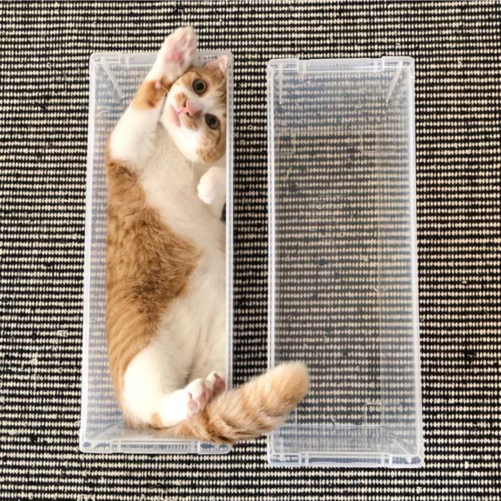 A353958b c01a 4f32 b033 4f68557973ff 1758704292197