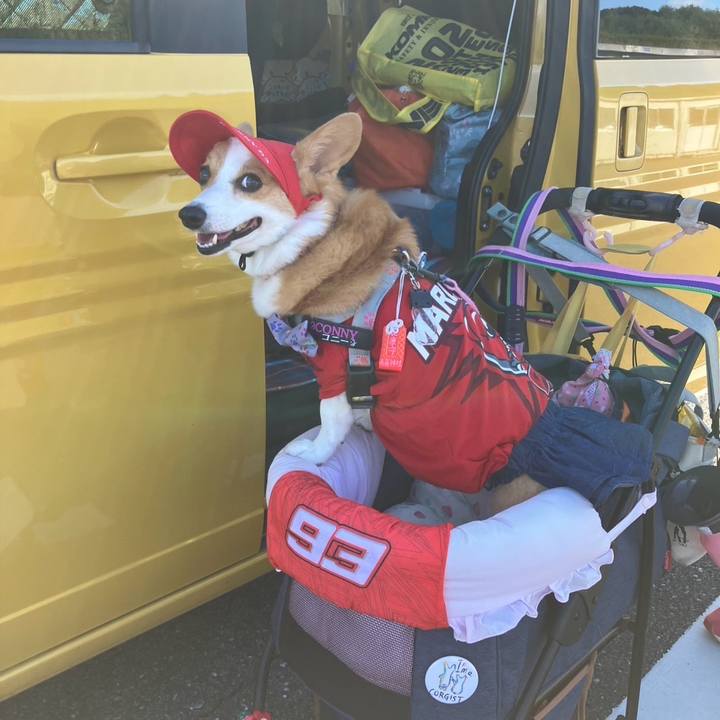 A353a68c 1d4e 4c42 869e 5a13d22d0cc9 1758851516799