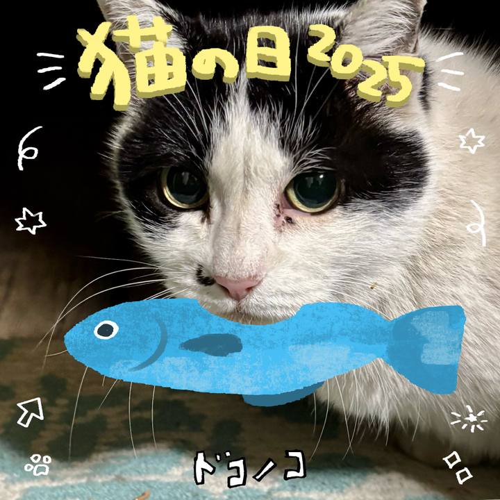 A353bdda 7caa 47e4 af79 dfaf54aa10e3 1740126303520