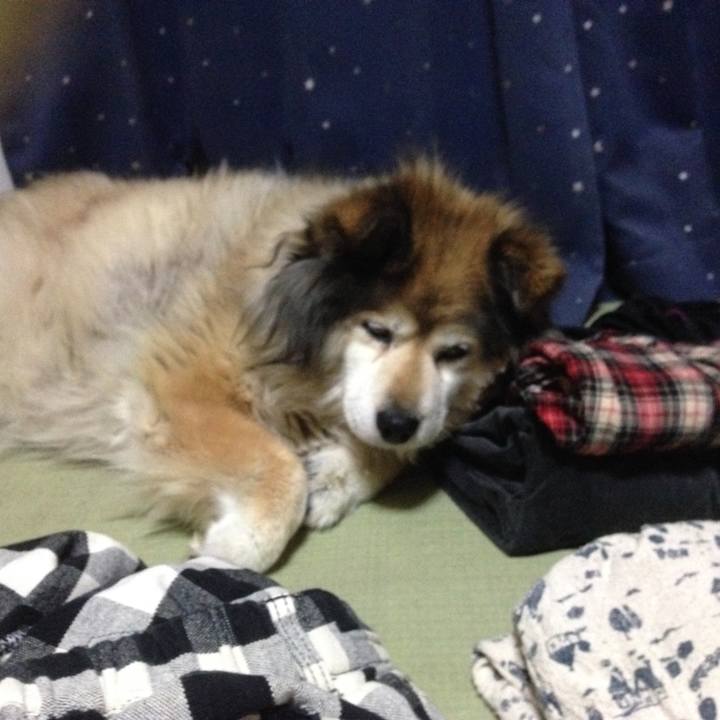 A3541876 21a4 459e b494 8e4d201a8fbc 1547974929856