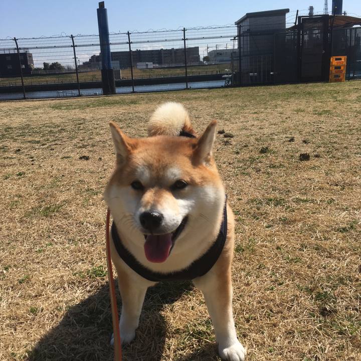 A3545514 6b37 45ad 8e1e 1d66ba17f4ab 1552104885840