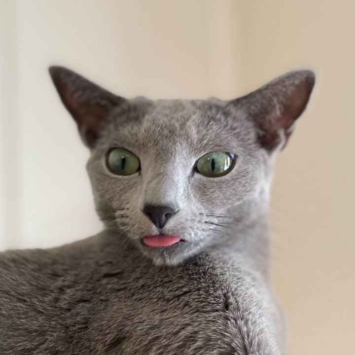 A354582b 1f26 47c8 97de 71b25878e64a 1665994315762