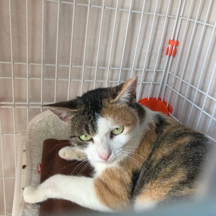 A3549220 9482 47bc bc1c a1b77ff283a6 1572920273656