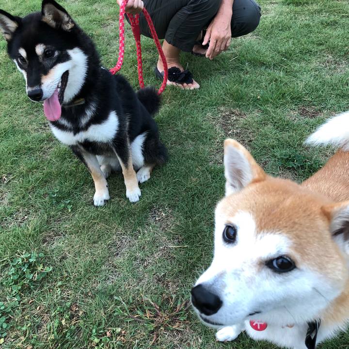 A354c823 0034 4a5d 9715 cf4bf006f02e 1570057353265