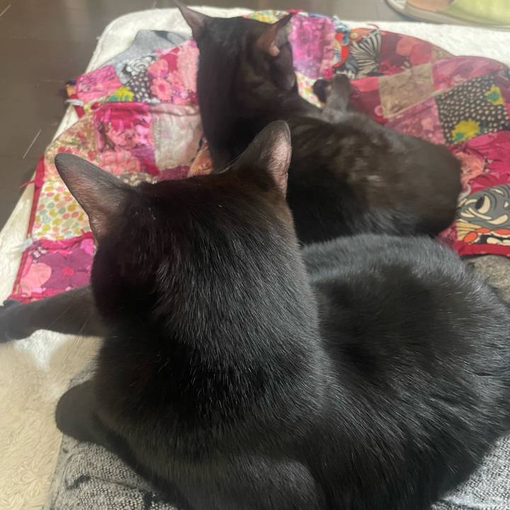 A354dea9 e0a8 4af3 998c 7bdcace0ebea 1769061333621