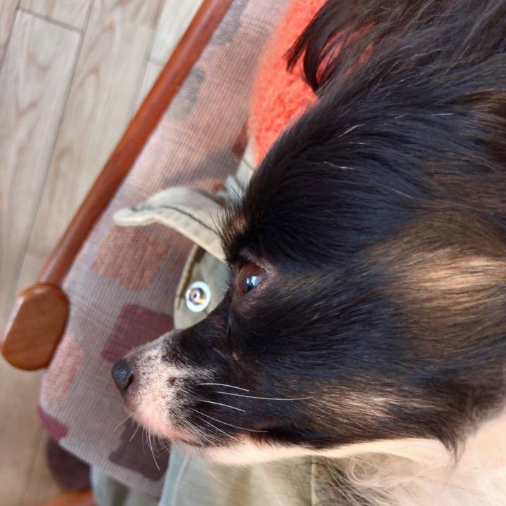 A355495b 3324 482f 8fad 7486d8343ec3 1516418696451