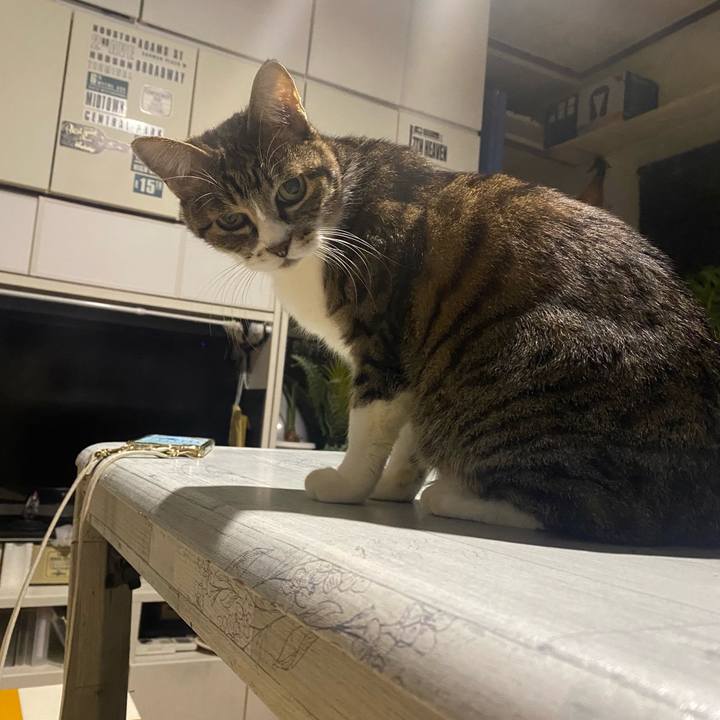 A35597c4 183e 48c2 a492 30f3b7b5c5d3 1699442340738