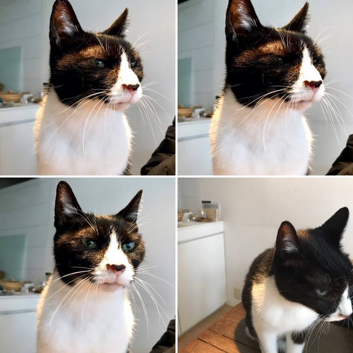 A355c460 c352 452b bd9d 9184c6a5f35f 1549761199498