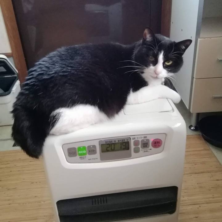 A355f4ca ba0d 4907 9165 f399ade821a6 1585196524082