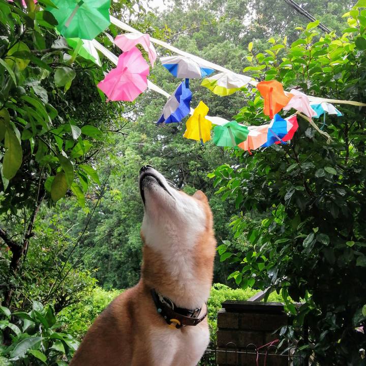 A3560da1 06d9 4237 b9d3 93b79e38af0a 1594782395742