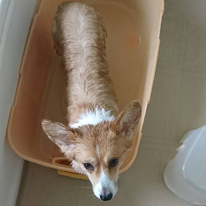 A3565257 db73 4ac8 b6d2 07aa9e696ed8 1535866941298